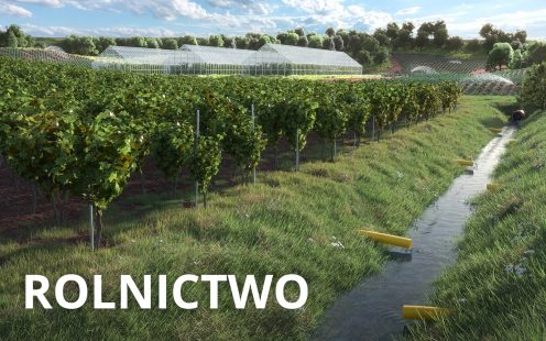 Rolnictwo
