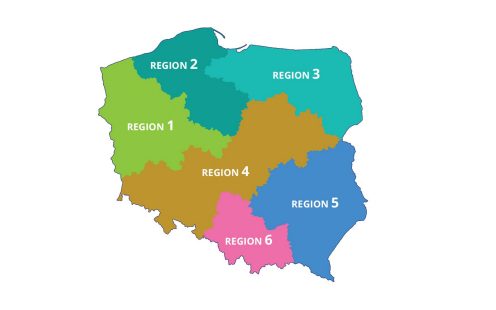 Kierownicy Regionów Sprzedaży