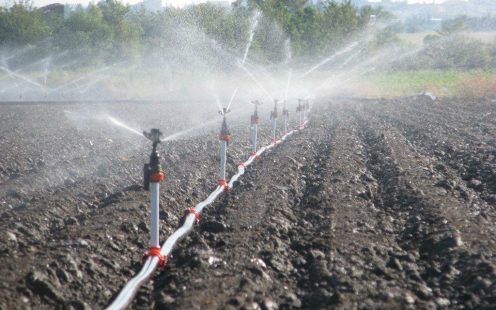 Pipelife-sprinkler-irrigation-field